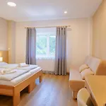 Pensión Harmony Javorník 3*