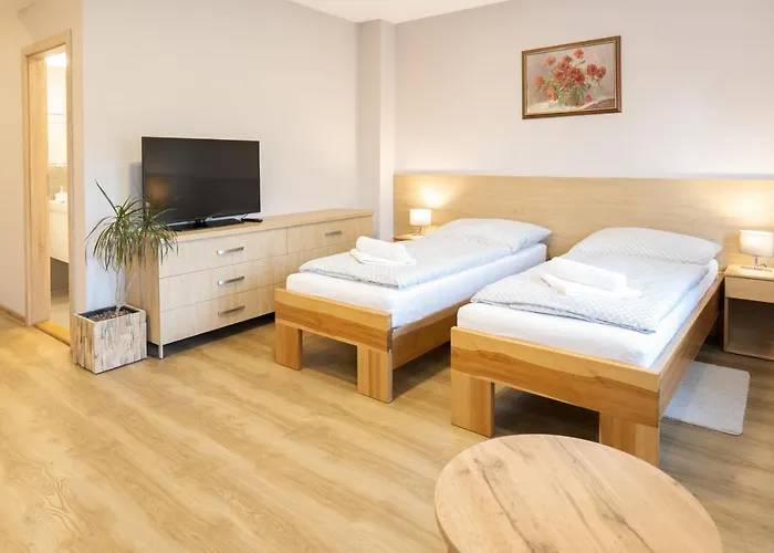 Πανσιόν Harmony Javornik 3*