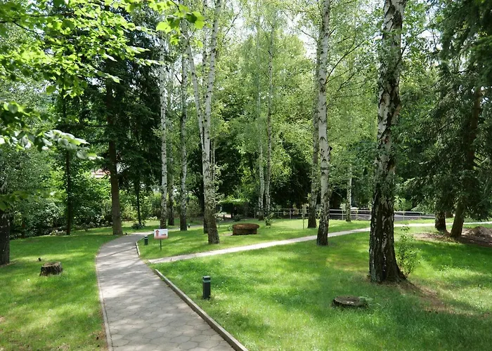 Harmony Javornik Ctyrkoly
